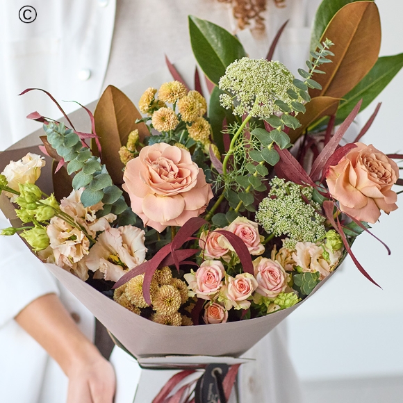 The Enchanted Forest